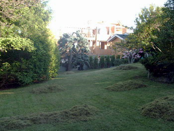 Debris after powerraking