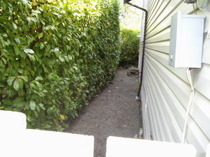 Flower and shrub beds