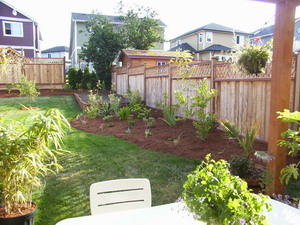Flower and shrub beds