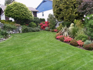 Deer resistant gardens
